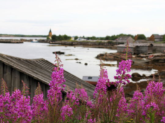 Rabocheostrovsk旅游攻略图片