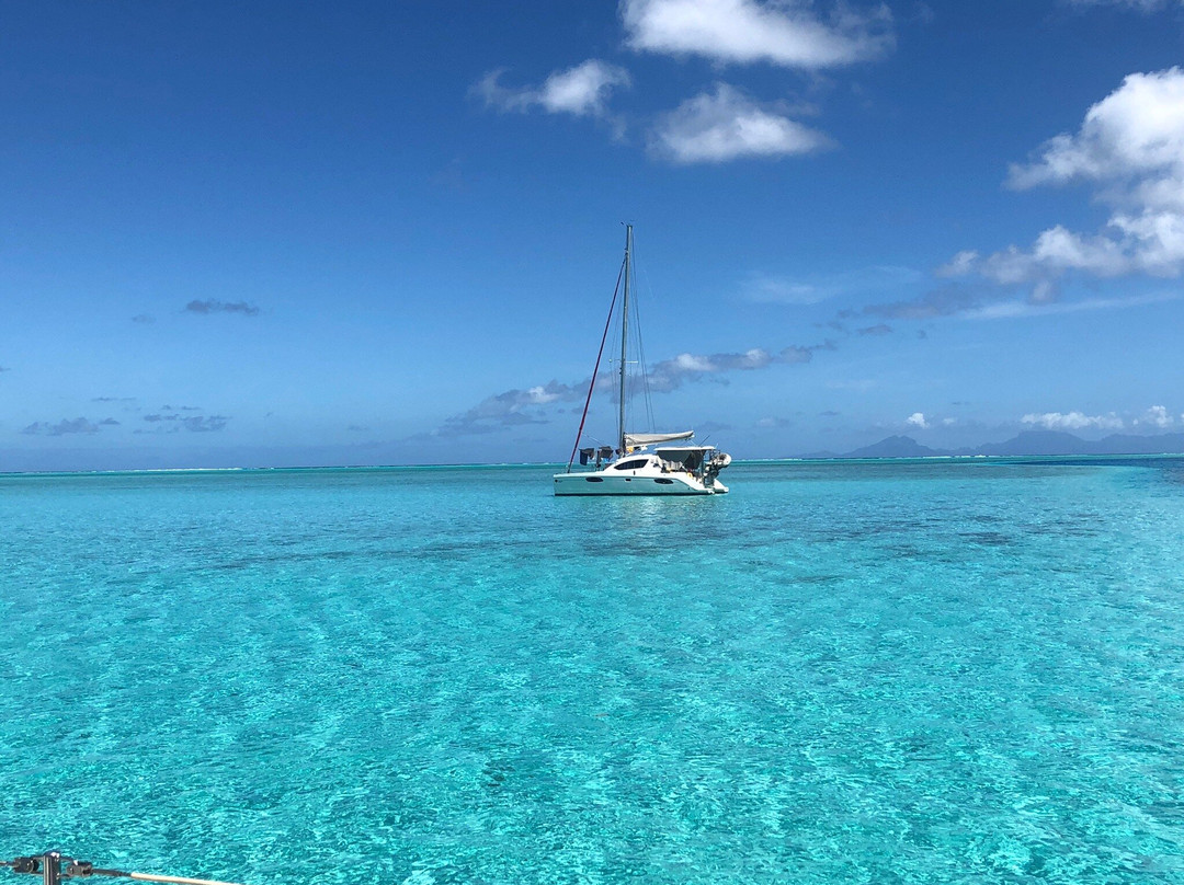 Tahiti Sailing Charter - Day Tours景点图片