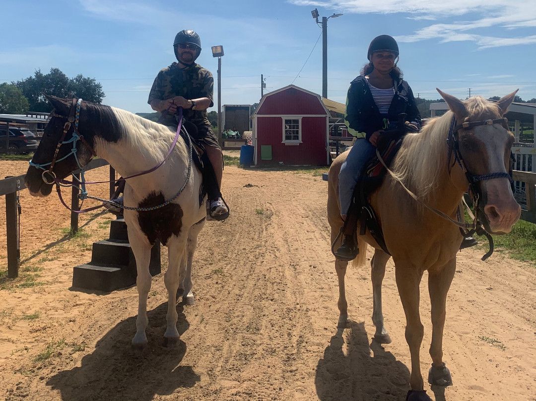 DreamCatcher Horse Ranch and Rescue景点图片