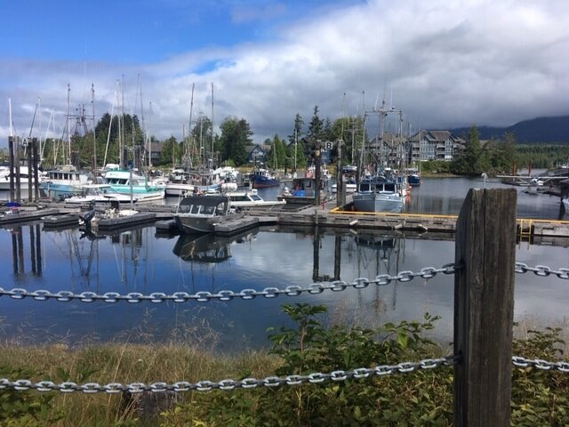 West Coast Motel On The Harbour-酒店景观