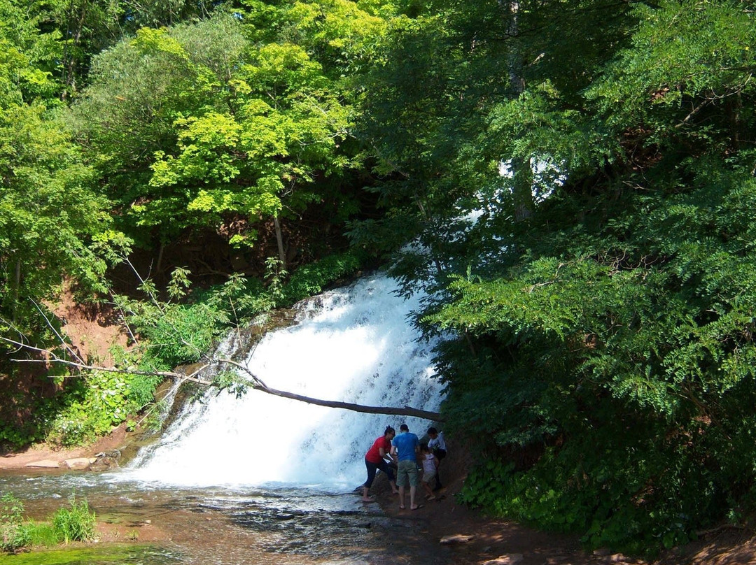 Holley Canal Falls景点图片