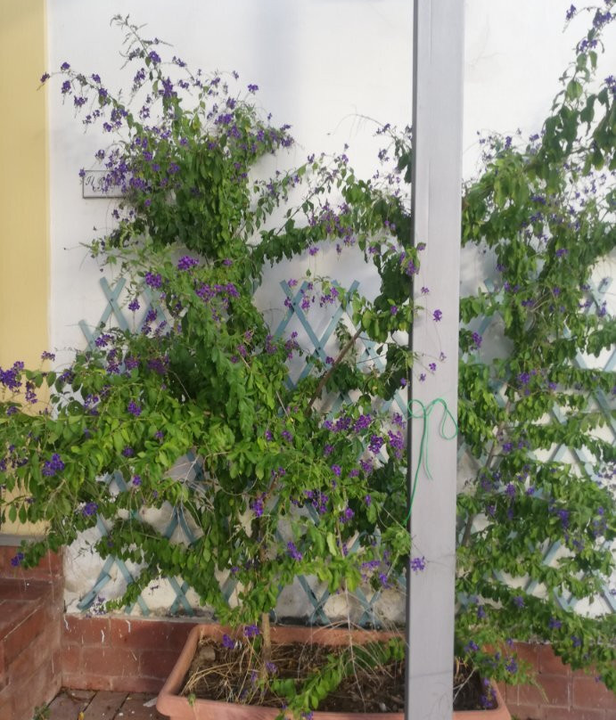 Masseria Casiello B&B主图