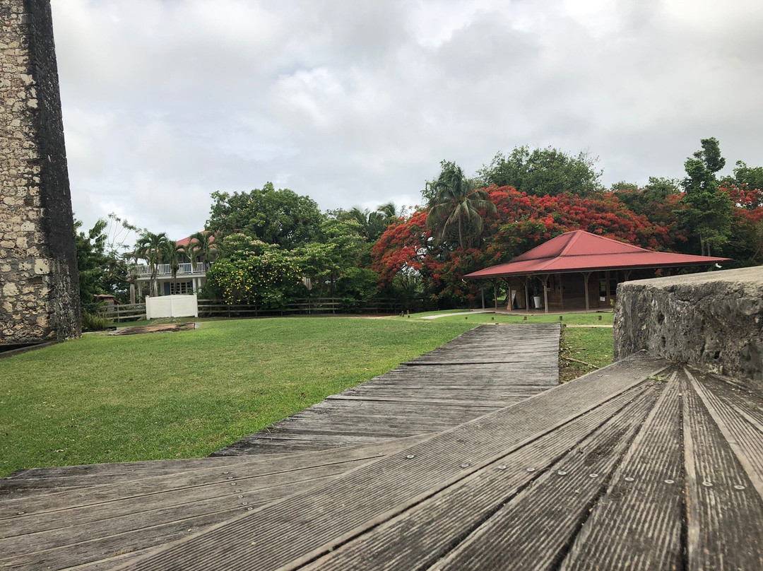 Distillerie Bellevue-Capesterre必去景点