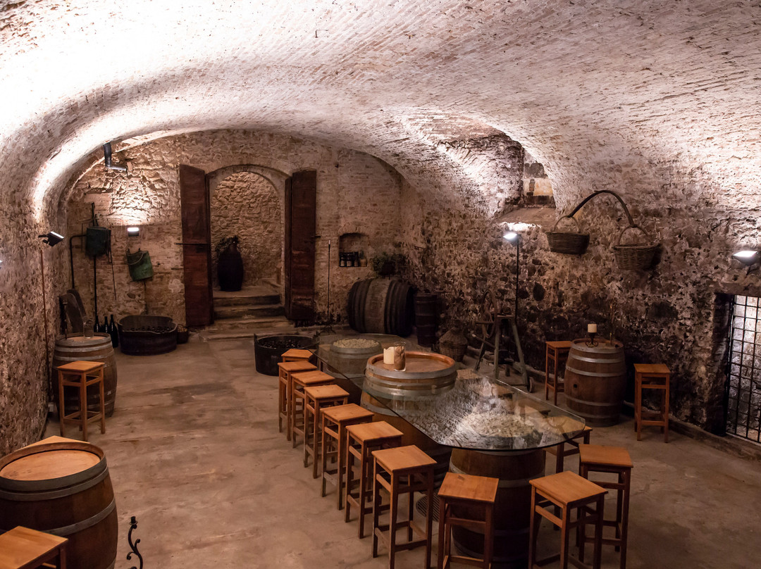 Cantina del Castello景点图片