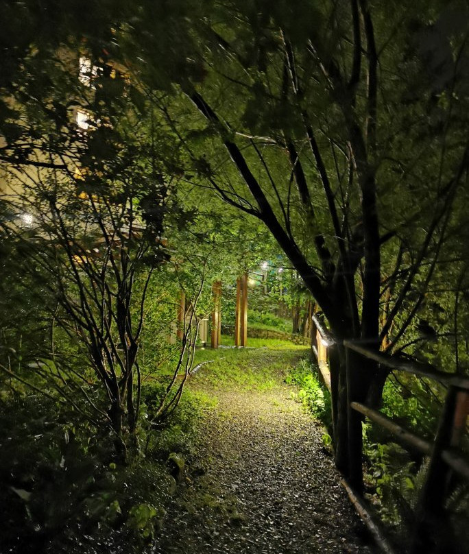 Jawor Hotel & Spa - Zawoja主图