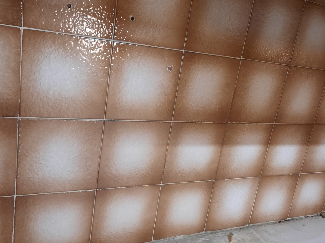 Auberge Du Virage Le Recoin Chamrousse主图