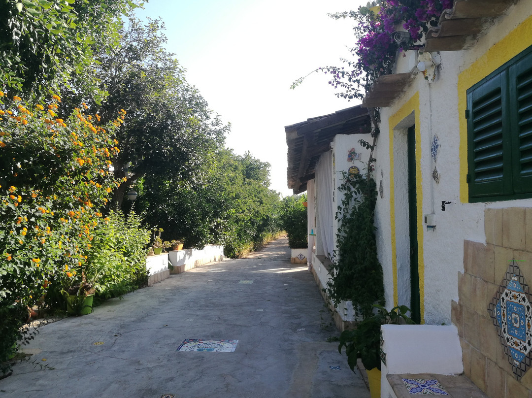 Zagara di Sicilia主图