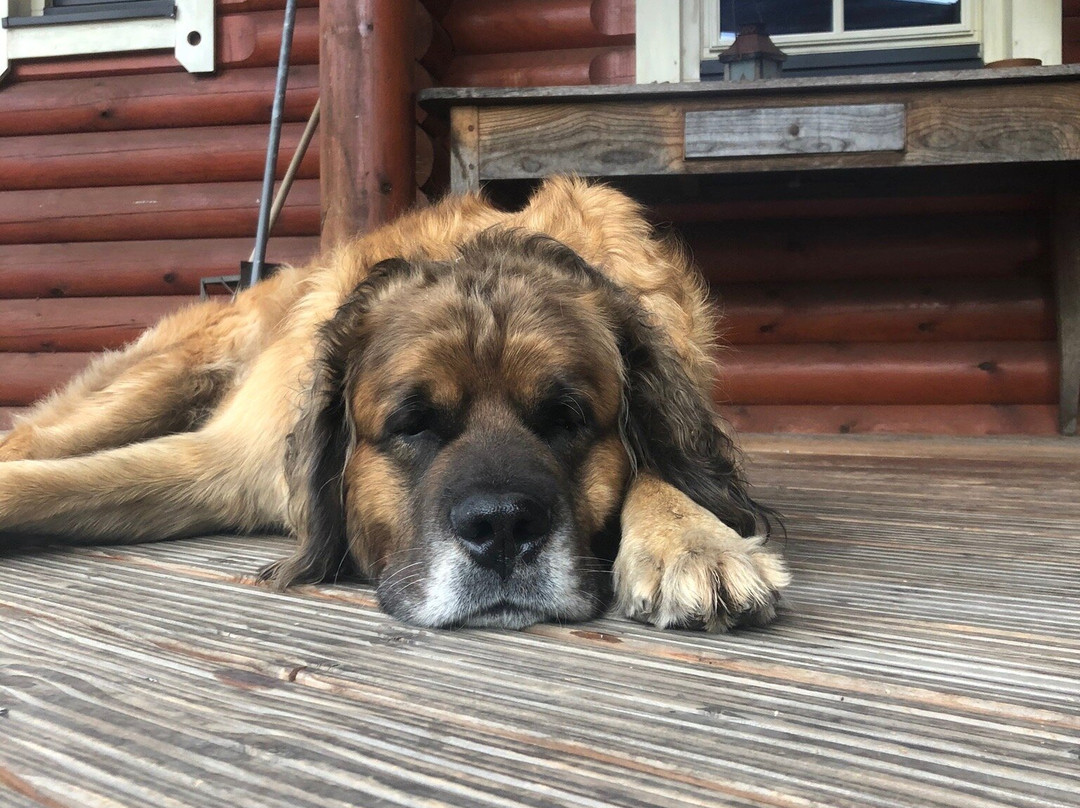 安拉阁乡村旅馆主图