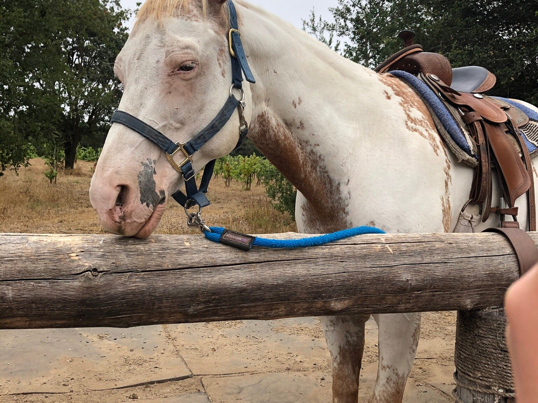 Rollin F Ranch-Sebastopol必去景点