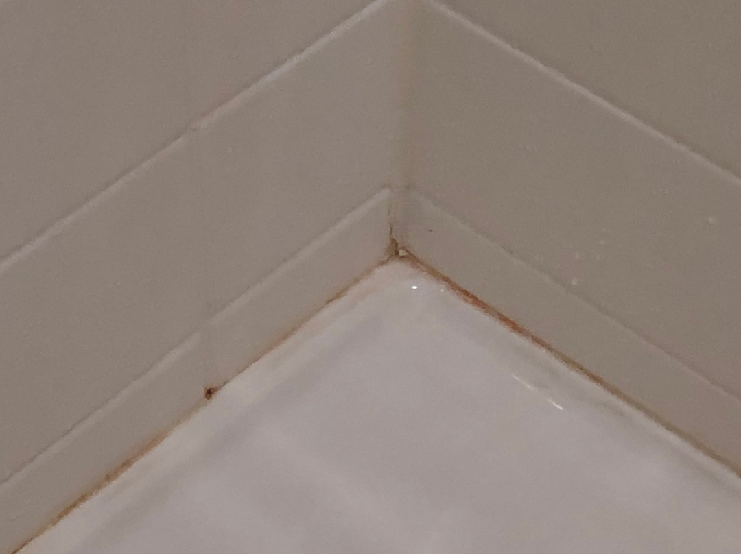 Fairfield by Marriott Inn & Suites Sheridan主图