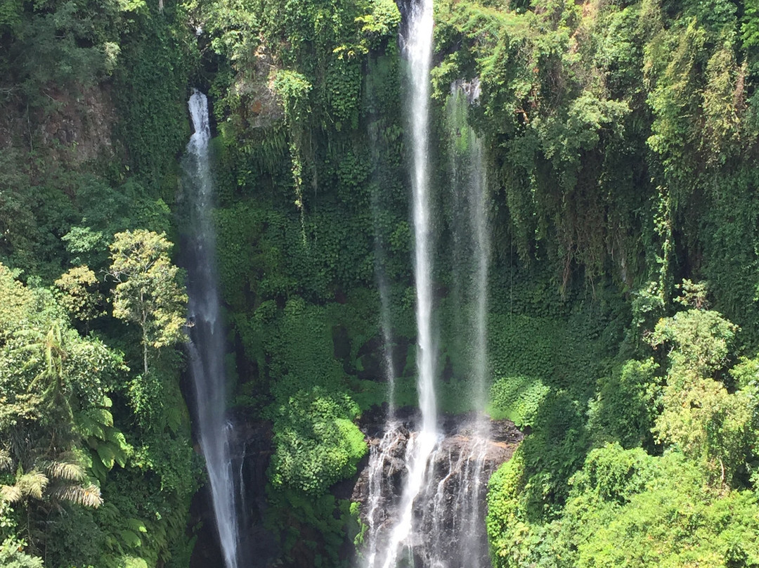 Sekumpul Waterfall Tour景点图片
