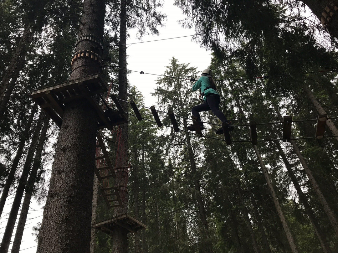 Agility Forest San Martino di Castrozza景点图片