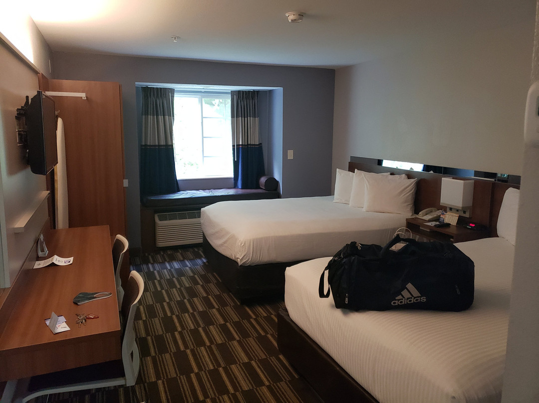 Microtel Inn & Suites by Wyndham Gardendale主图