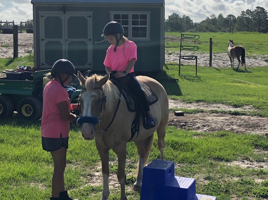 Orange Blossom Trail Rides-Dunnellon必去景点