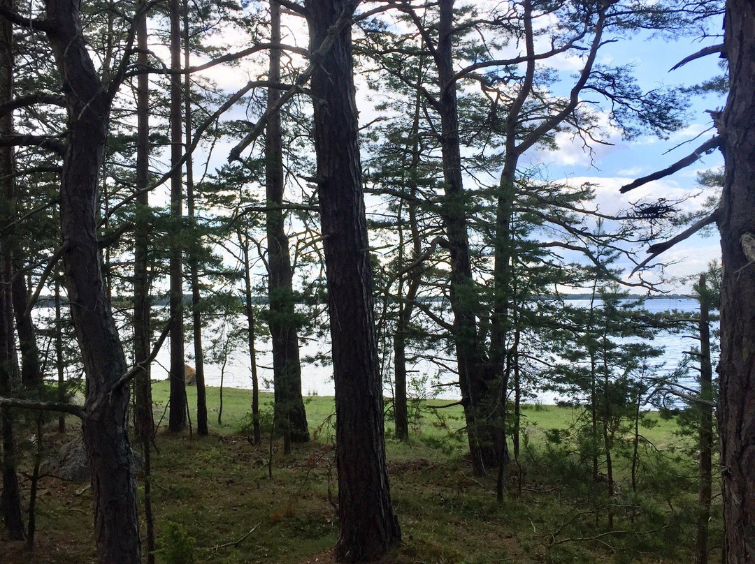 Naturum Trollskogen-Byxelkrok必去景点