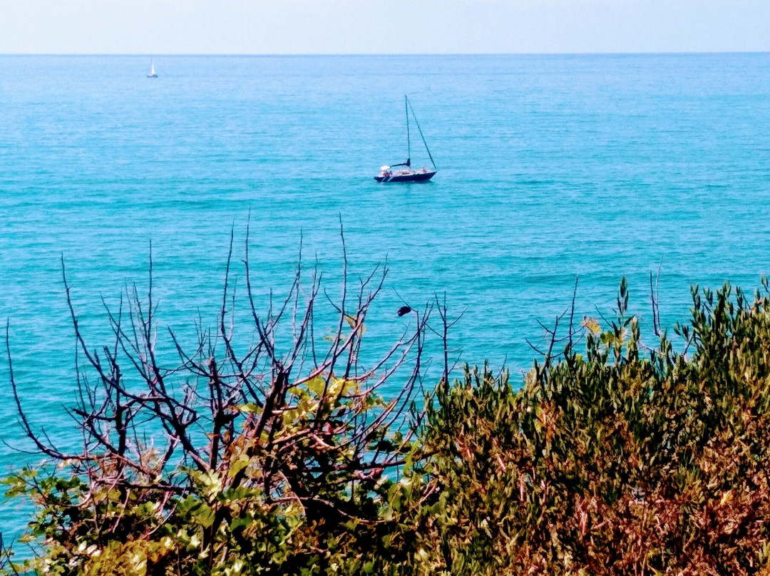 Torrenostra旅游攻略图片