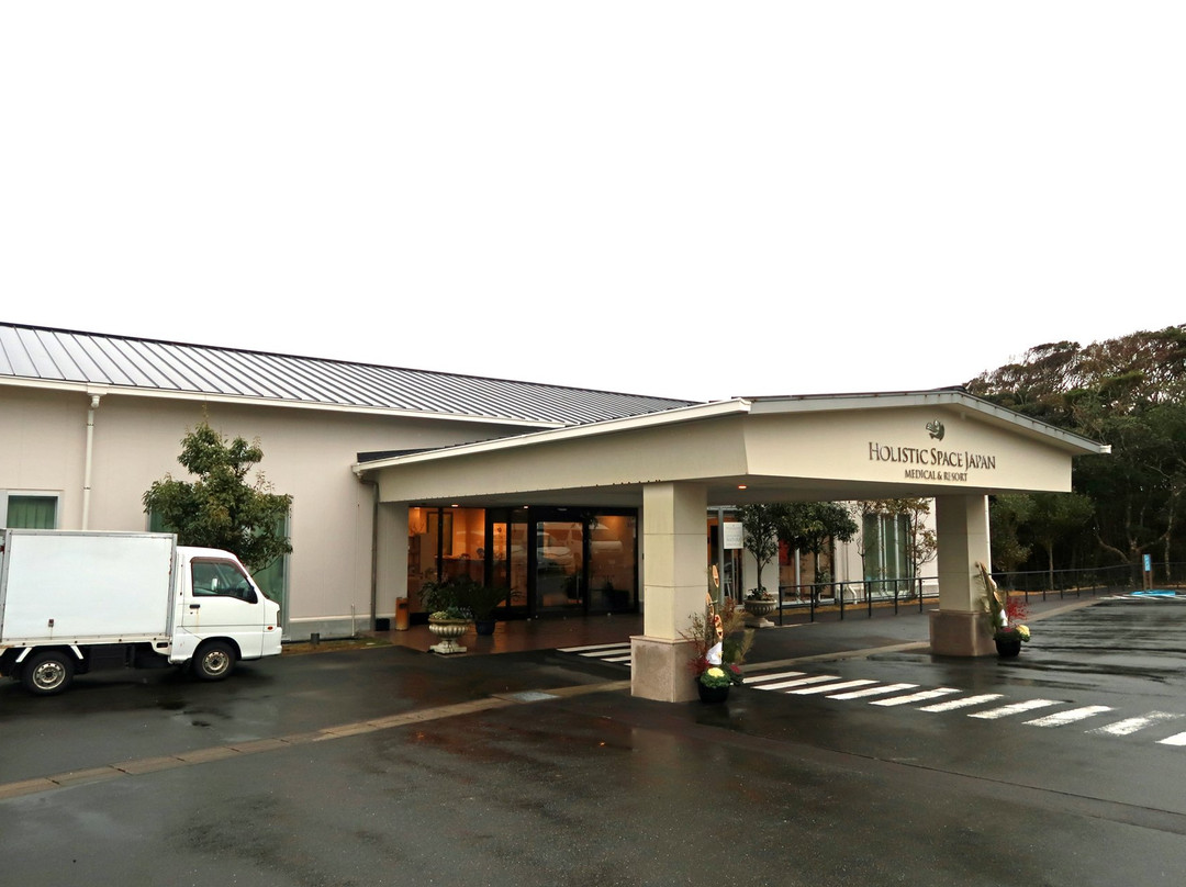 Holistic Space Japan主图