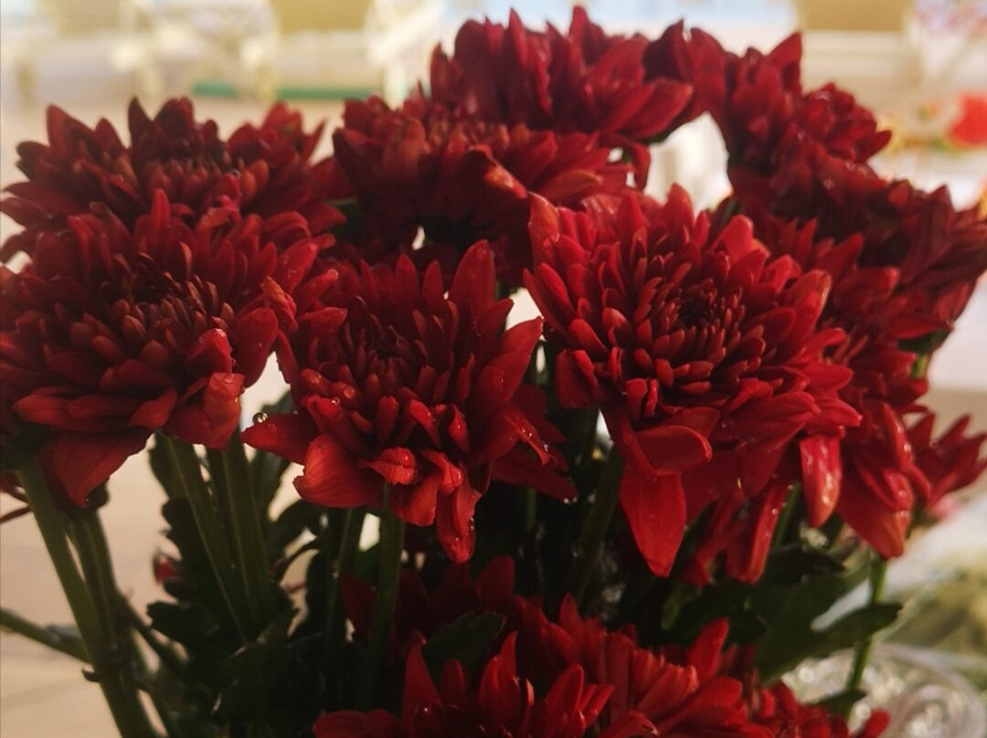 Finca La Cascada主图