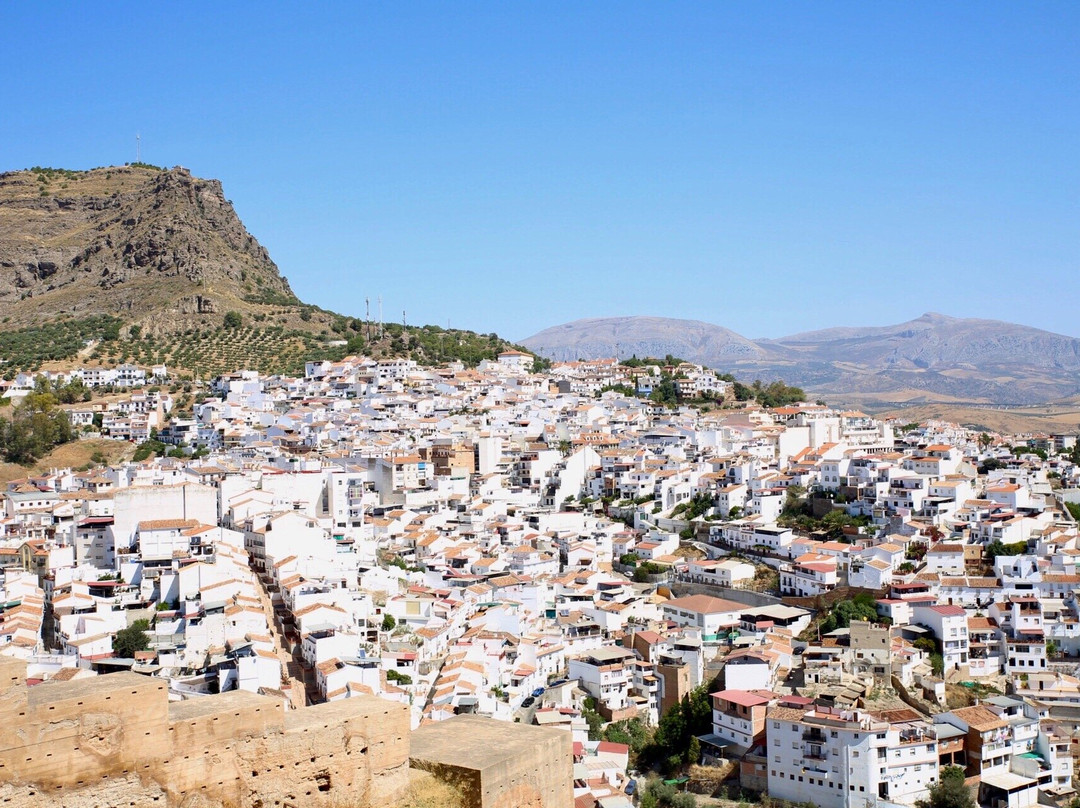 Arab Castle景点图片