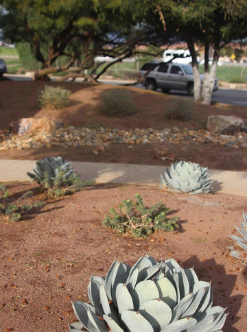 Sun City Library-Menifee必去景点