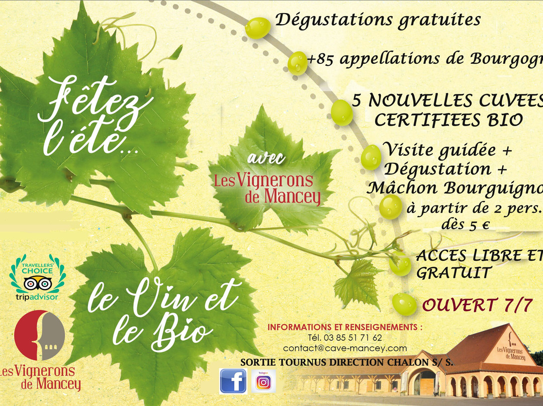 Les Vignerons de Mancey景点图片