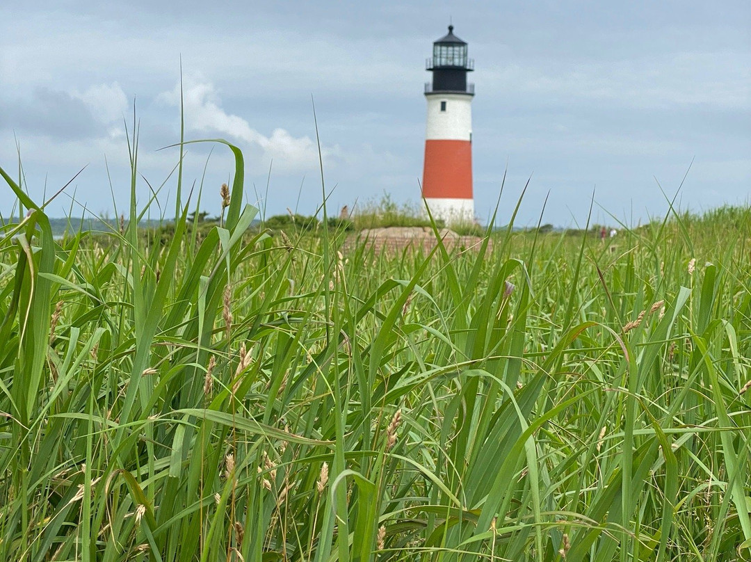 Sankaty Head Lighthouse景点图片