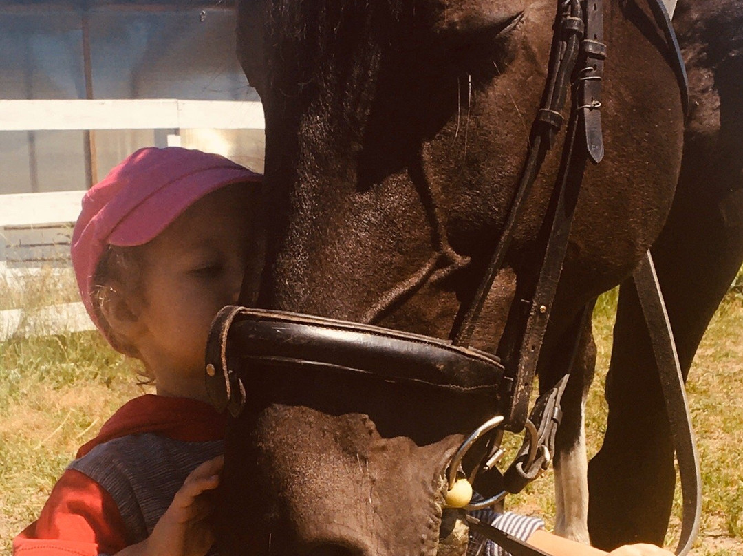 Ecofarm Teterin-Ryzhevo必去景点