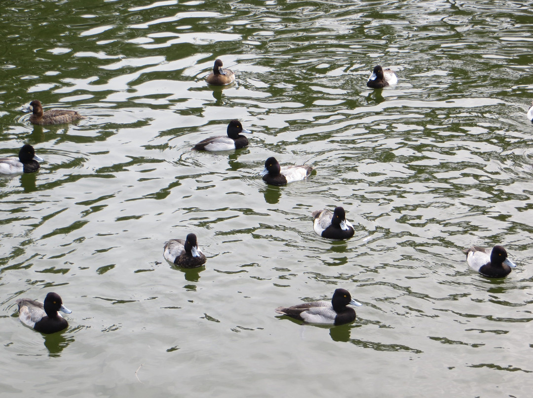 River Road Park-Boerne必去景点