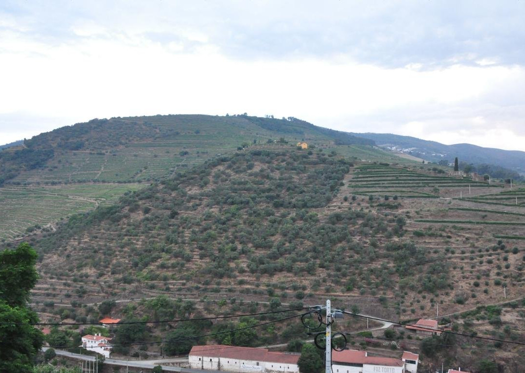 LBV House Hotel主图