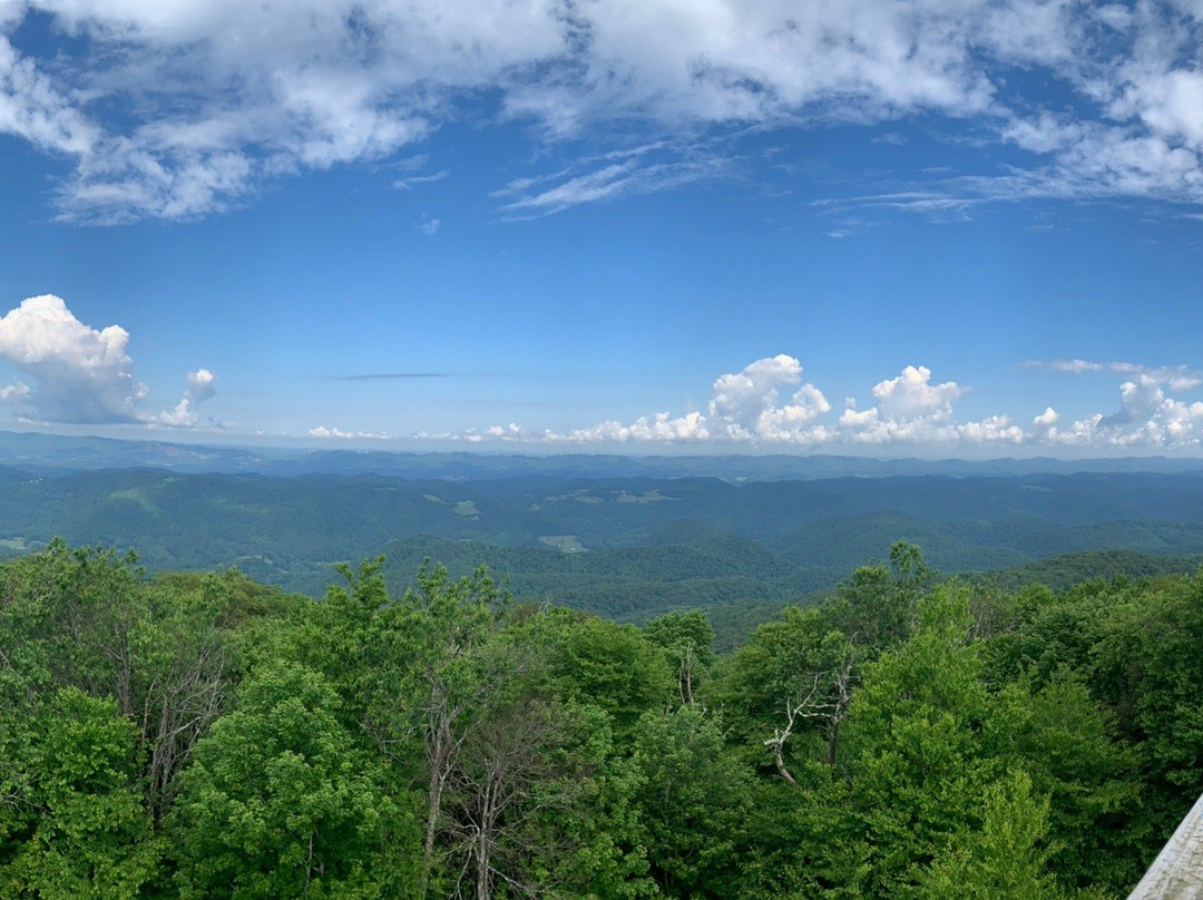 Bickel Knob Observation Tower-Elkins必去景点