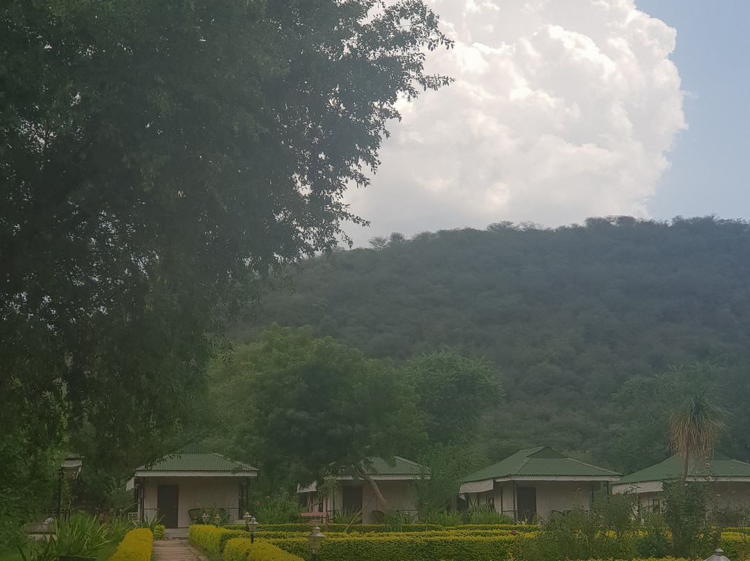 Sariska Tiger Heaven主图