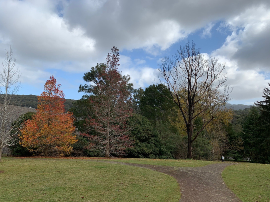 R.J. Hamer Arboretum-奥林达必去景点