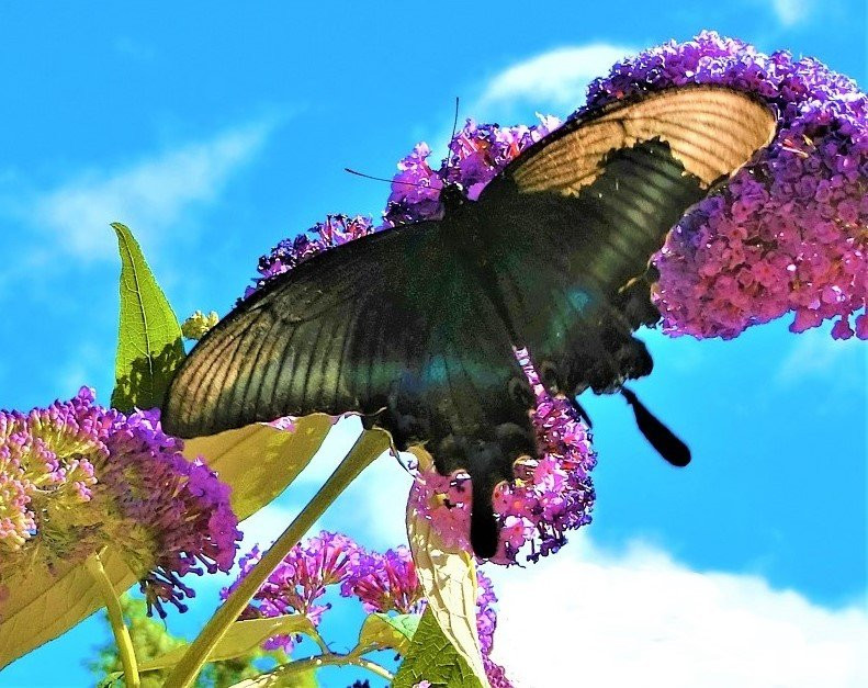 Ikoro no Mori-苫小牧市必去景点