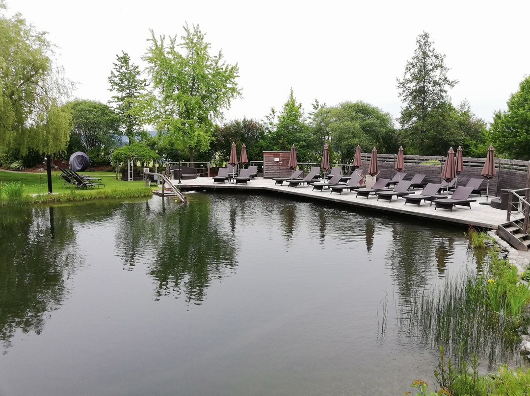 Hotel Guglwald主图