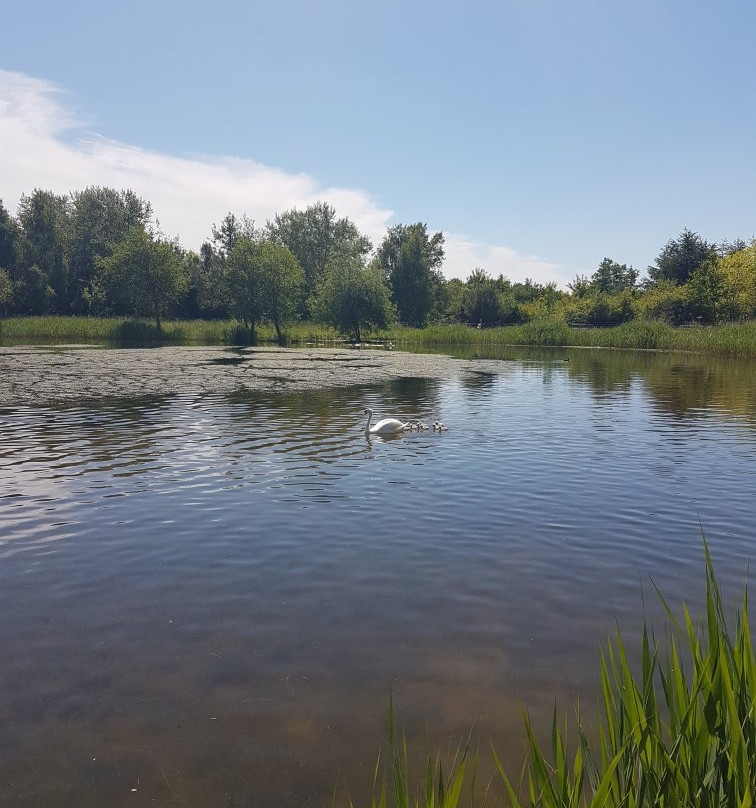 Rushcliffe Country Park景点图片