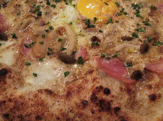 Pasta Passo a Passo主图