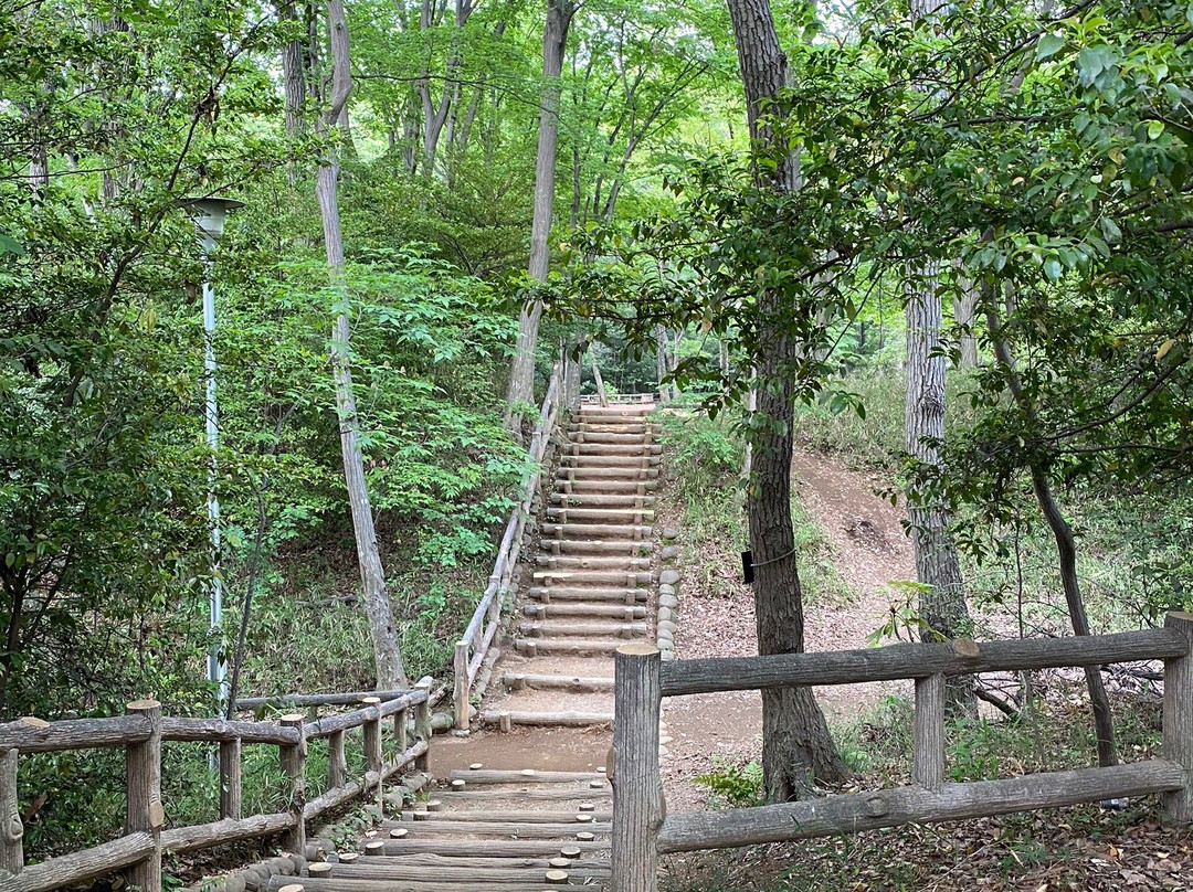 Shiroyama Park景点图片