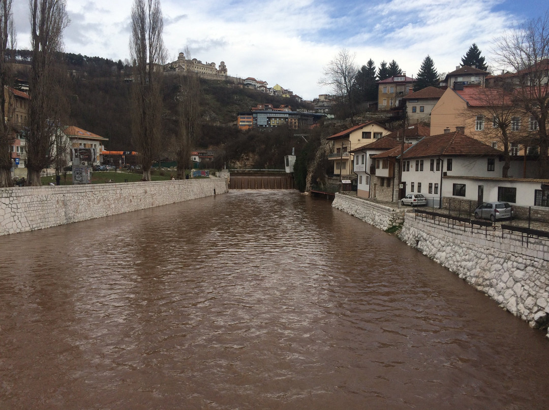 Šeher Ćehaja's bridge景点图片