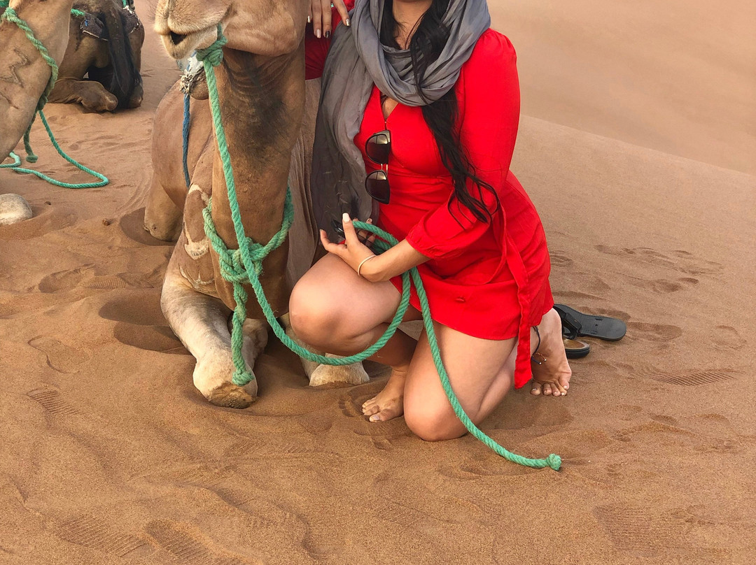 DesertBrise Travel-迈哈米德必去景点