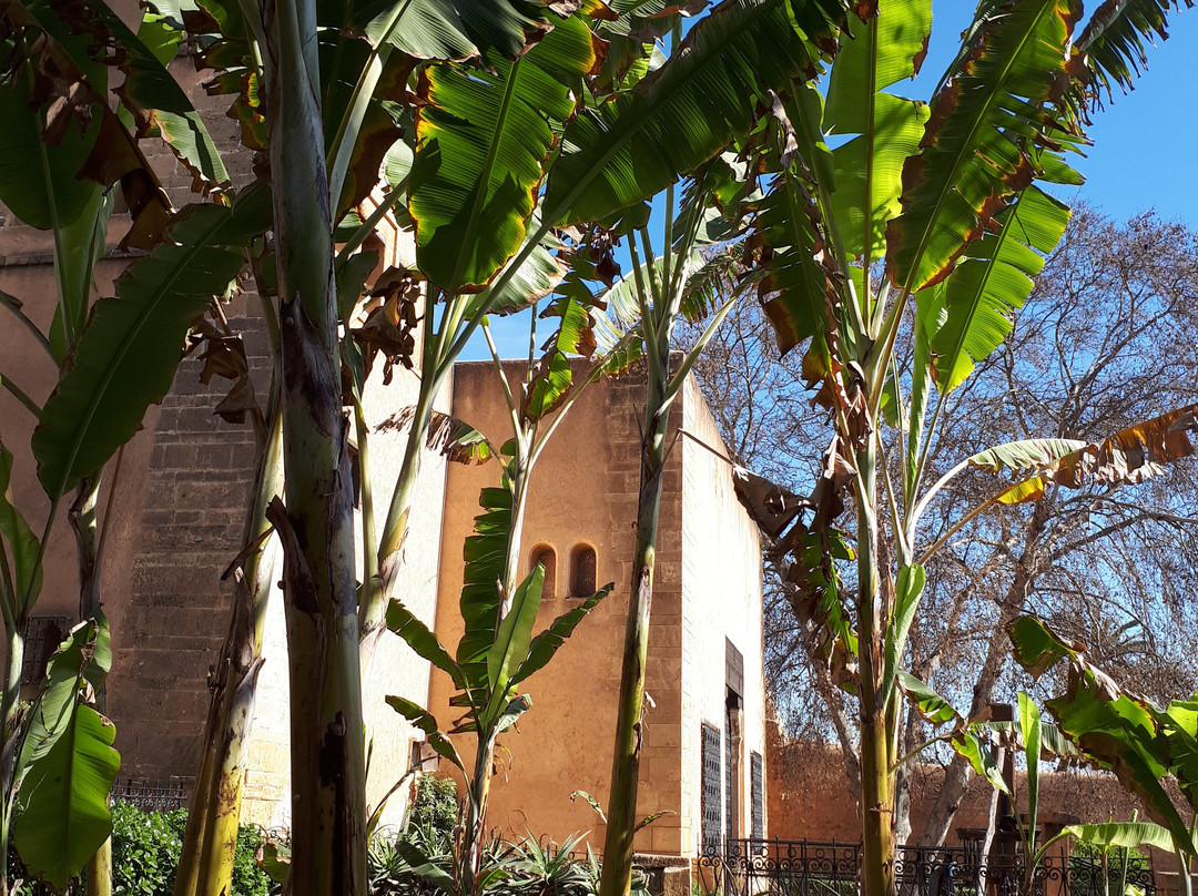 Andalusian Gardens-拉巴特必去景点