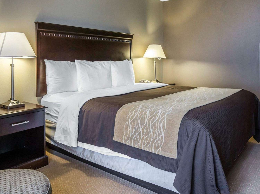 Comfort Inn & Suites Tinley Park IL主图