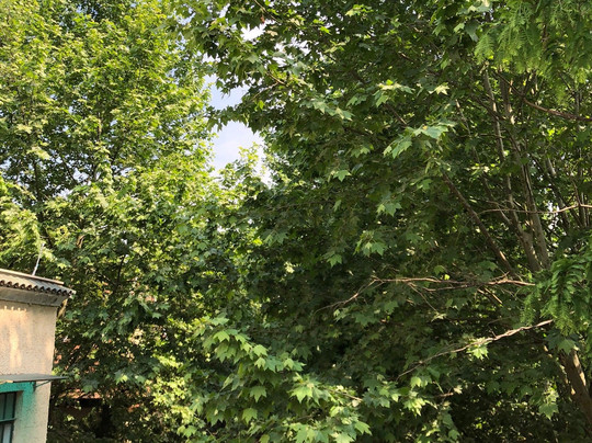 江湾体育中心-上海市必去景点