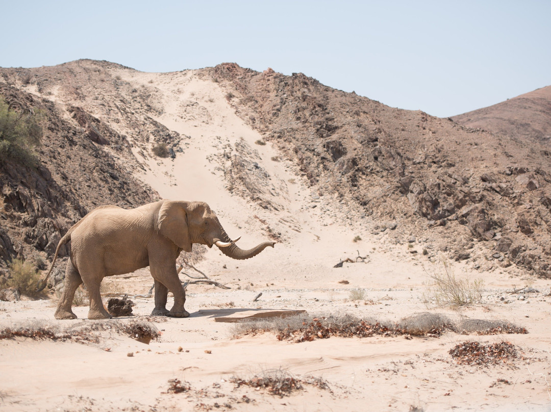 Unforgettable Africa-开普敦中心区必去景点