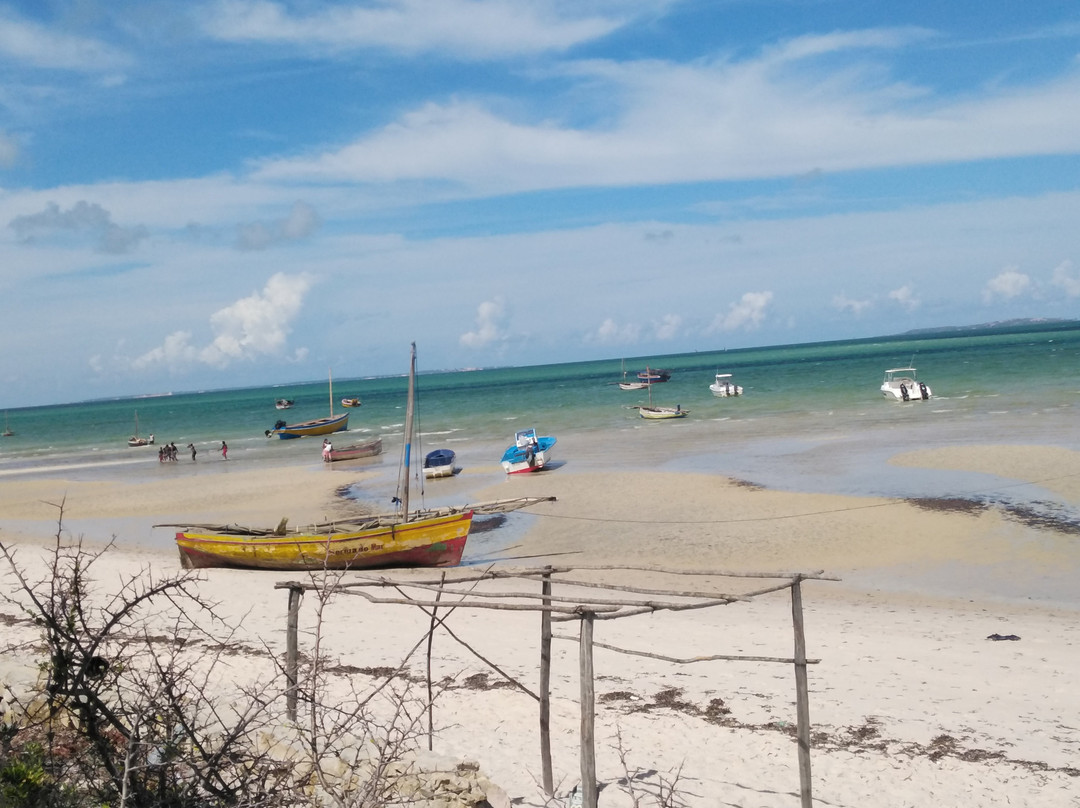 Moz Islands & Safaris景点图片