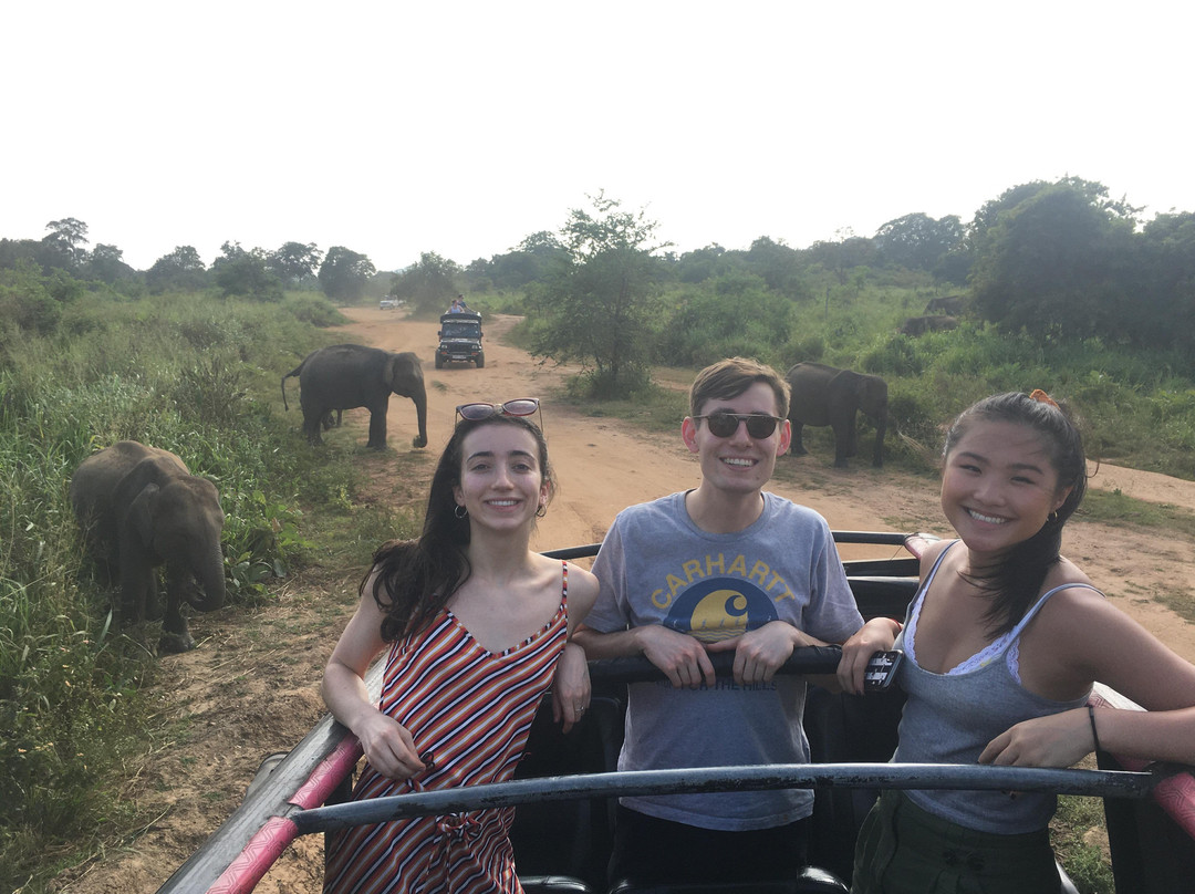 Su Lanka Tours景点图片