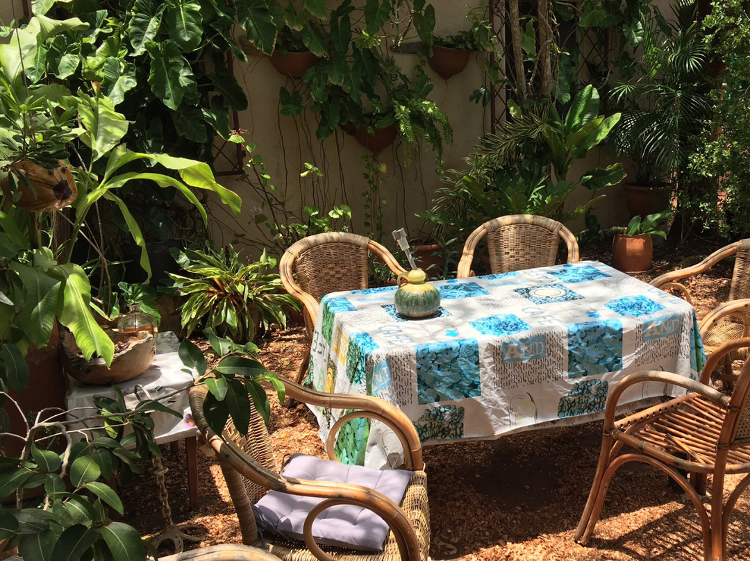 The Bonaire Botanical Garden景点图片
