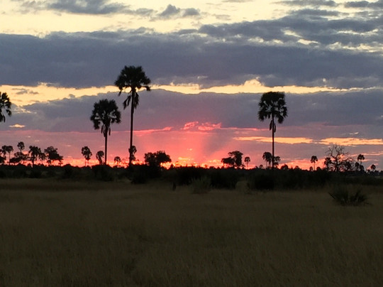 Makwela Transfrontier Safaris-比勒陀利亚必去景点