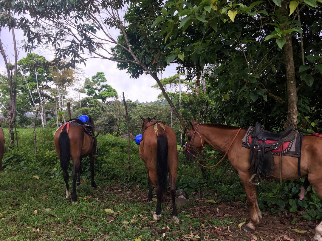 Blue River Resort & Hot Springs主图