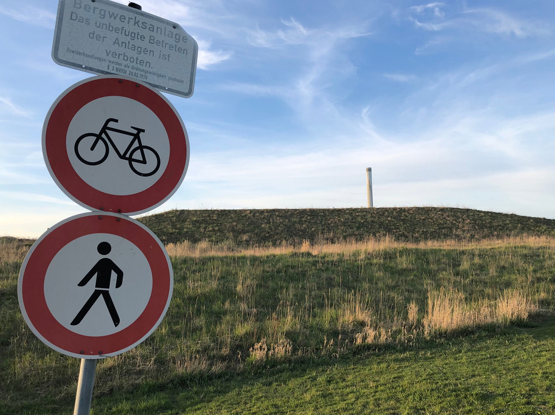 Bergehalde Großes Holz景点图片