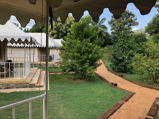 Rangiri Dambulla Resort主图